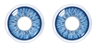 Contact Lenses