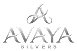 Footer Logo