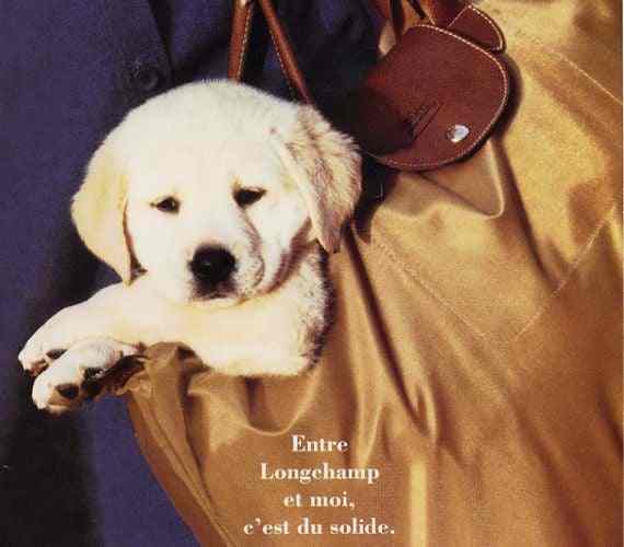  The launch of an icon: Le Pliage