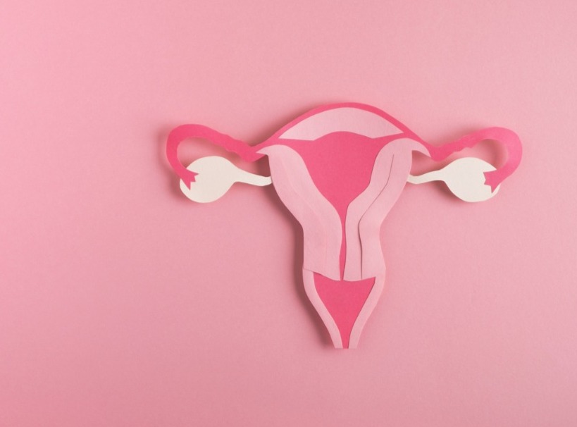 Endometriosis and Fertility: Navigating Treatment Options and Hopeful Paths
