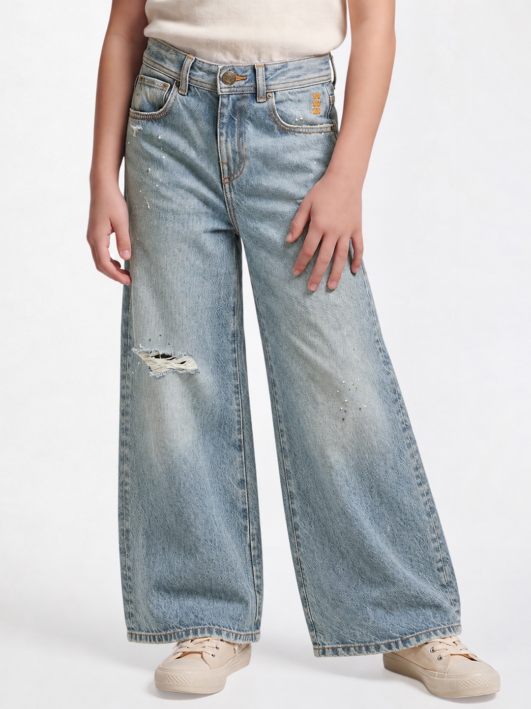 DENIMS