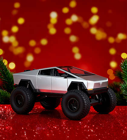 Ralleyz Tesla RC Car