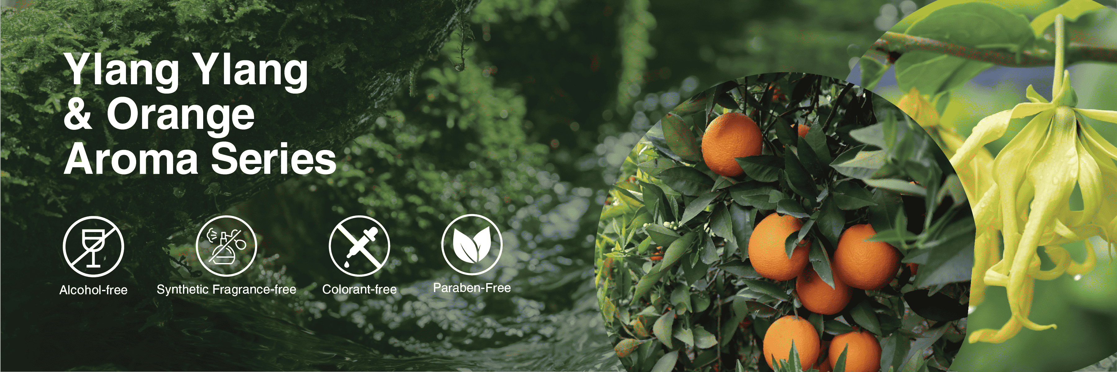 Banner desktop