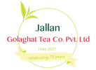 Footer Logo