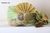Light Green Safa