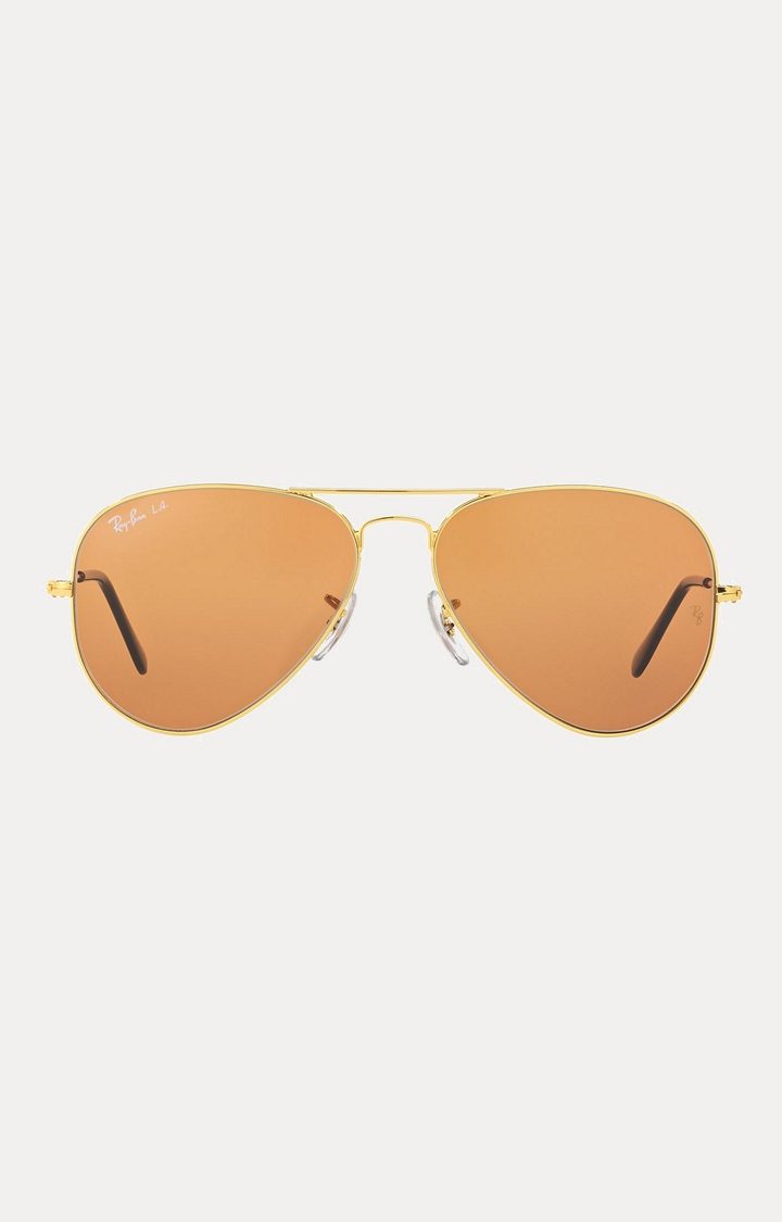 Rayban Sunglasses