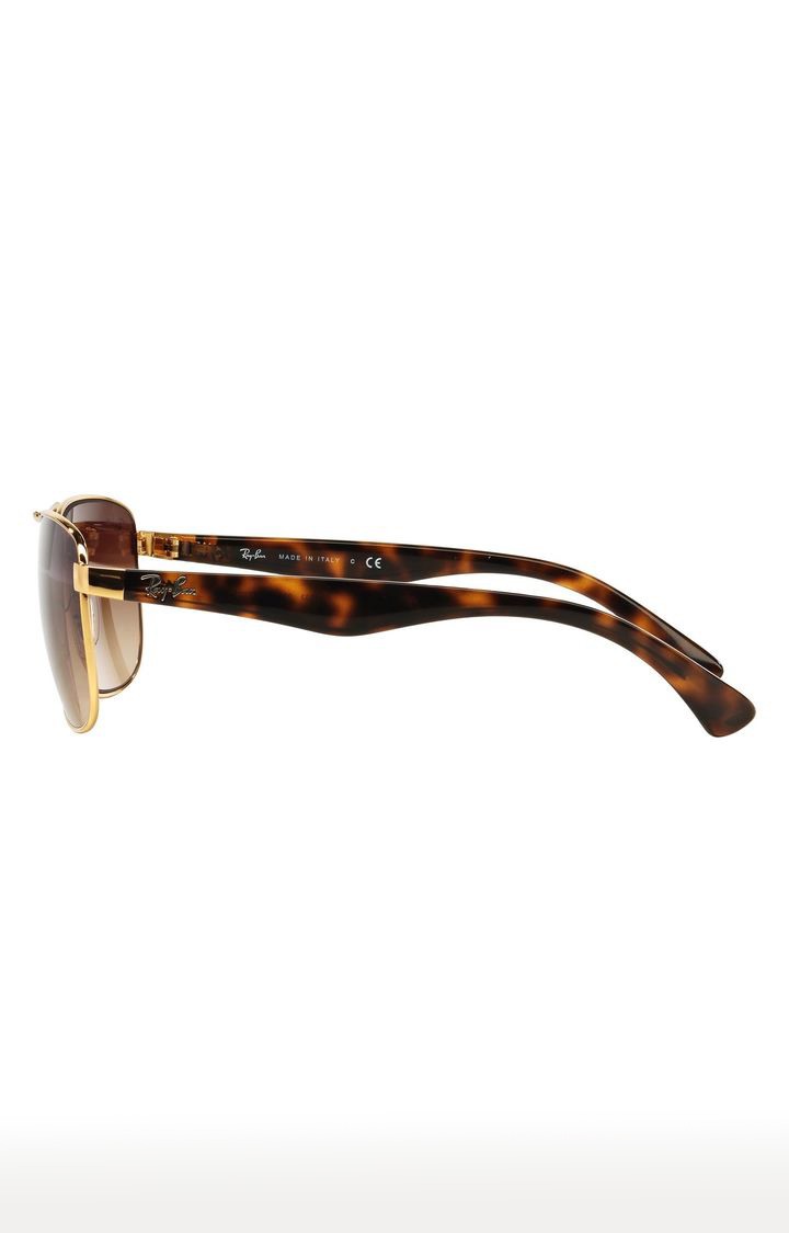 Rayban Sunglasses