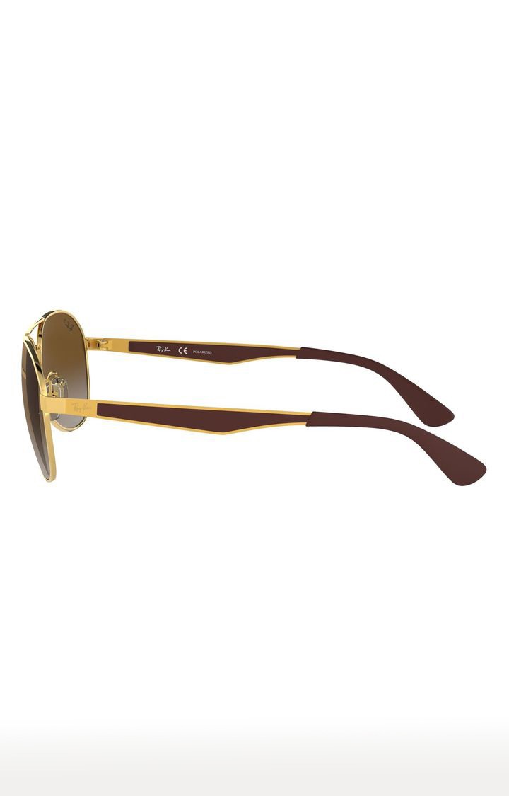 Rayban Sunglasses