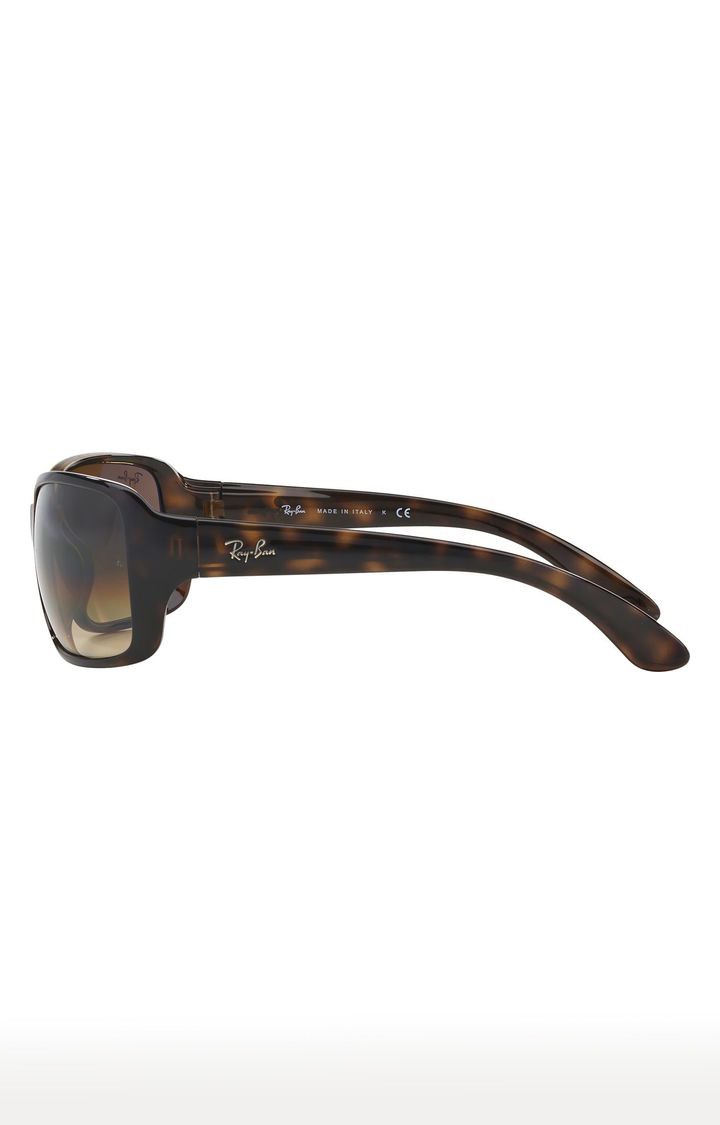 Rayban Sunglasses