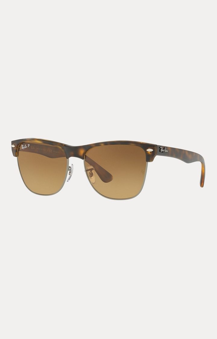 Ray-Ban Brown Browline Sunglasses