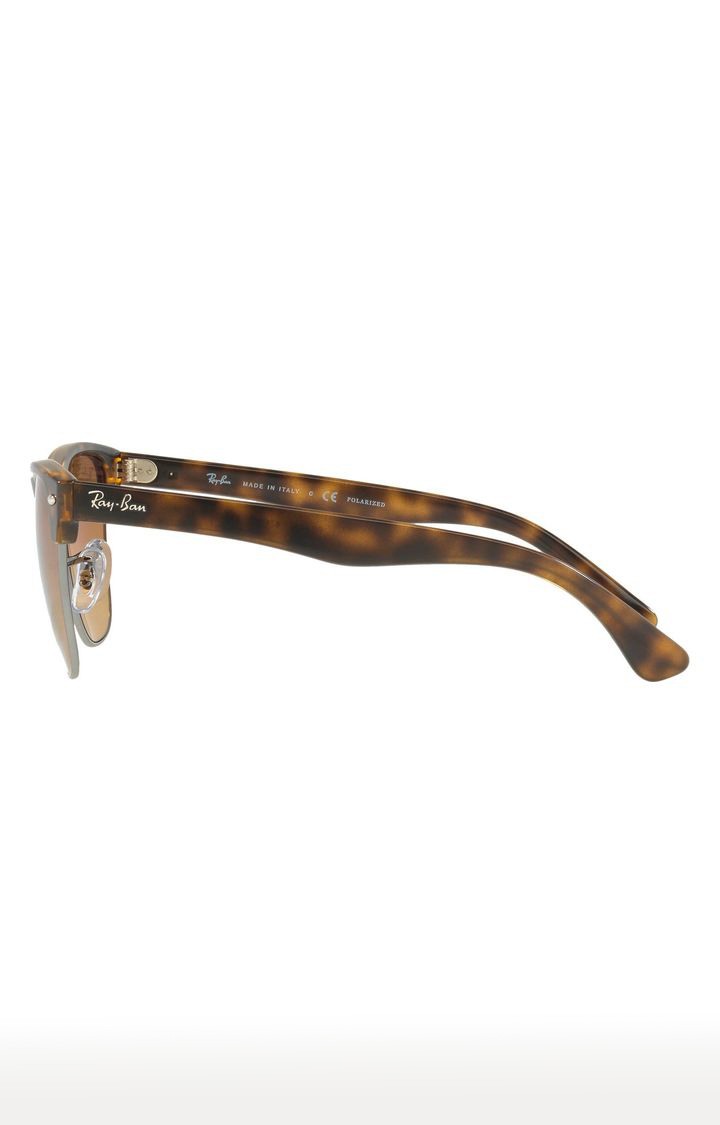 Ray-Ban Brown Browline Sunglasses