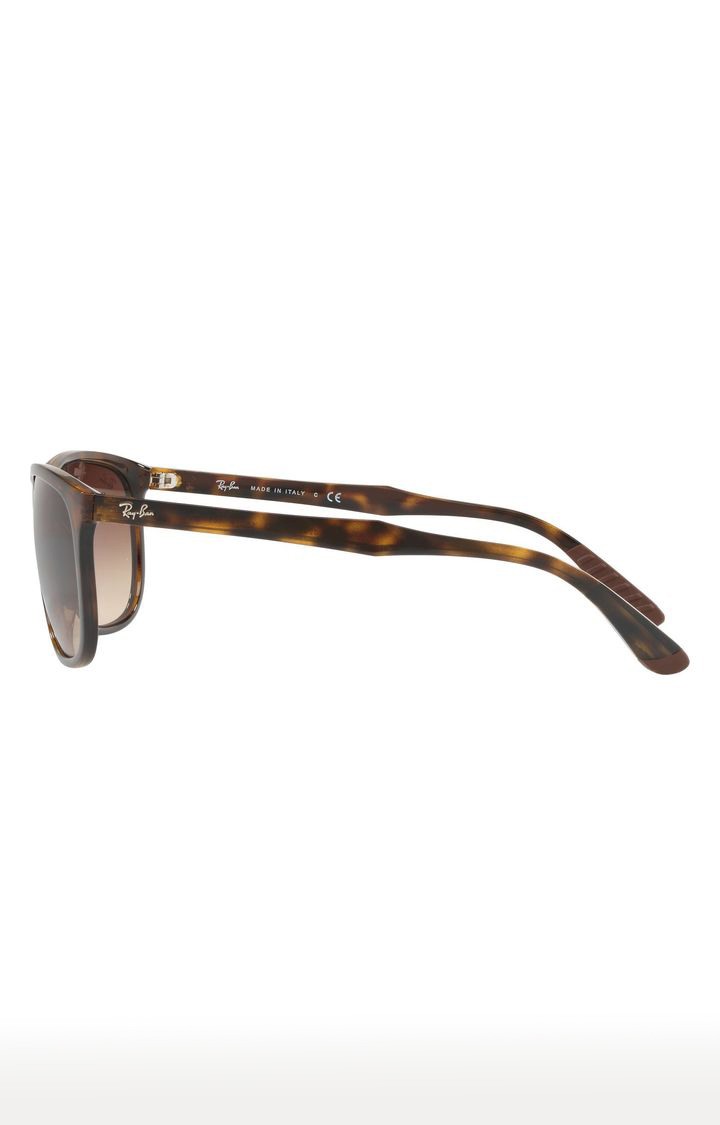 Ray-Ban Brown Rectangle Sunglasses
