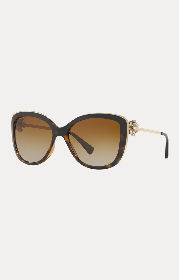 Bvlgari Brown Oversized Sunglasses