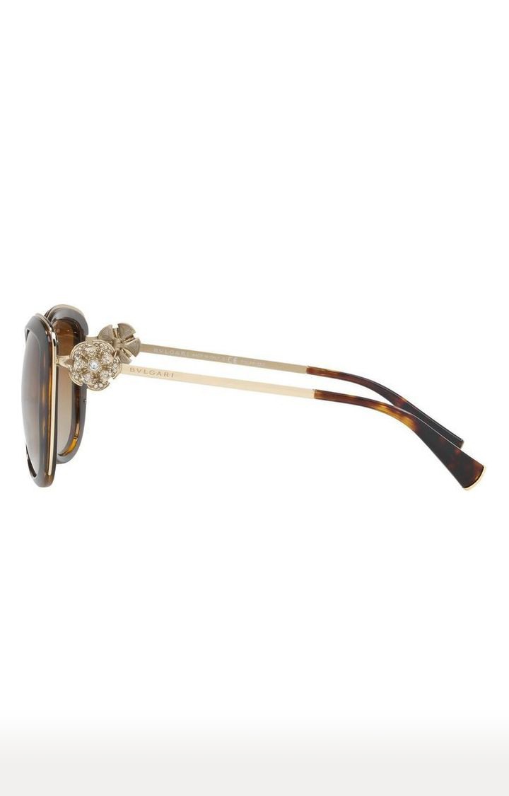 Bvlgari Brown Oversized Sunglasses