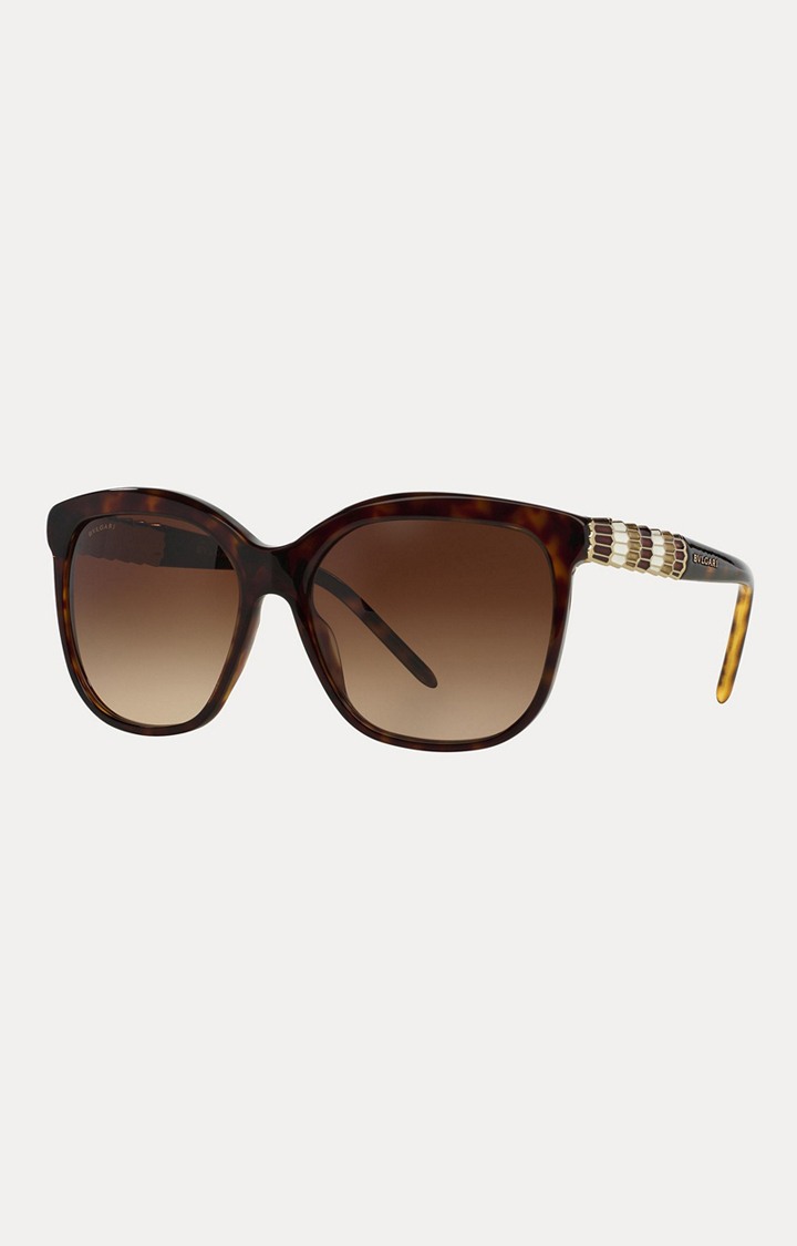 Bvlgari Tortoise Brown Oversized Sunglasses