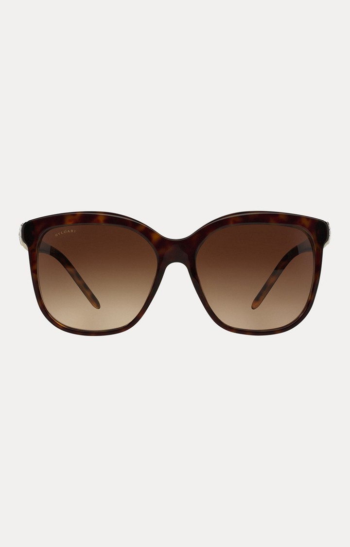 Bvlgari Tortoise Brown Oversized Sunglasses