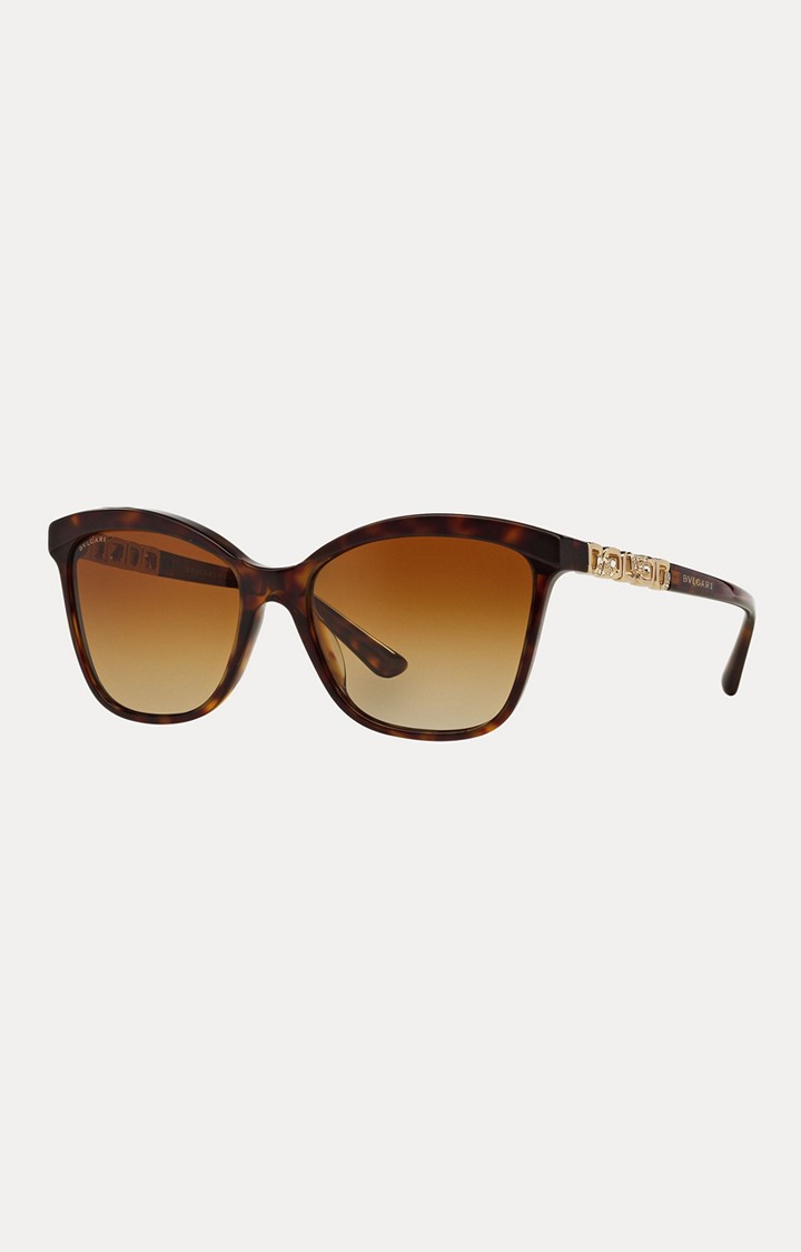 Bvlgari Brown Oversized Sunglasses