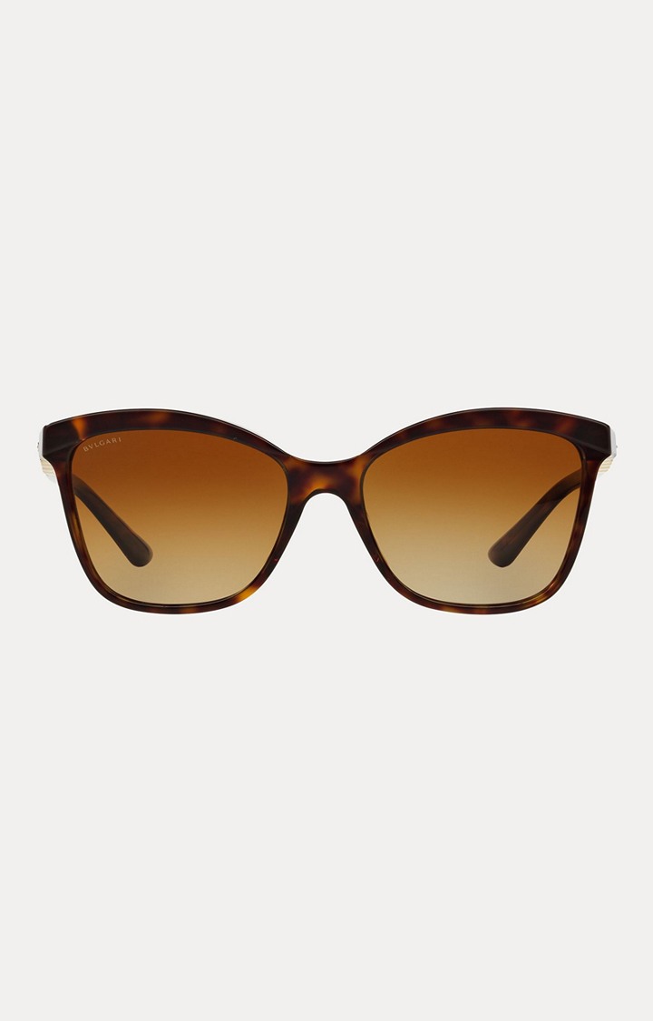 Bvlgari Brown Oversized Sunglasses