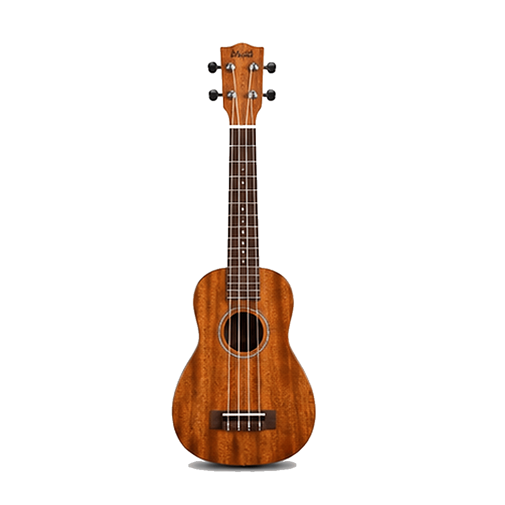 Ukulele