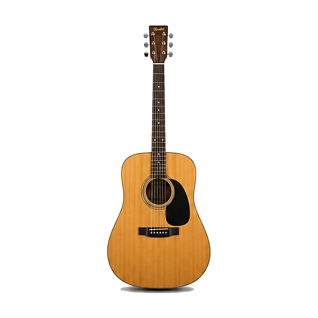 Acoustic Guitars