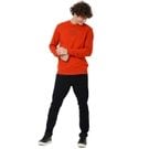 Mufti Rust Embroidered Sweatshirt