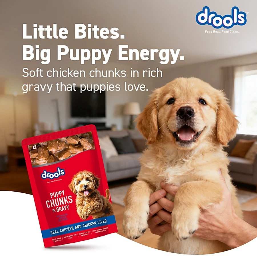 Drools Real Chicken & Liver Chunks In Gravy Wet Food For Puppy, 60g