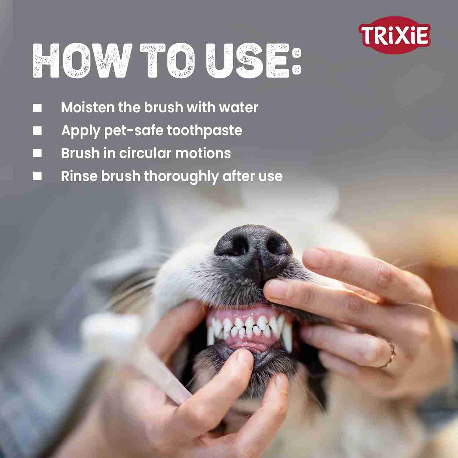 Trixie Toothbrush Set for Cats & Small Dogs, 15 cm, 4 Pcs, White