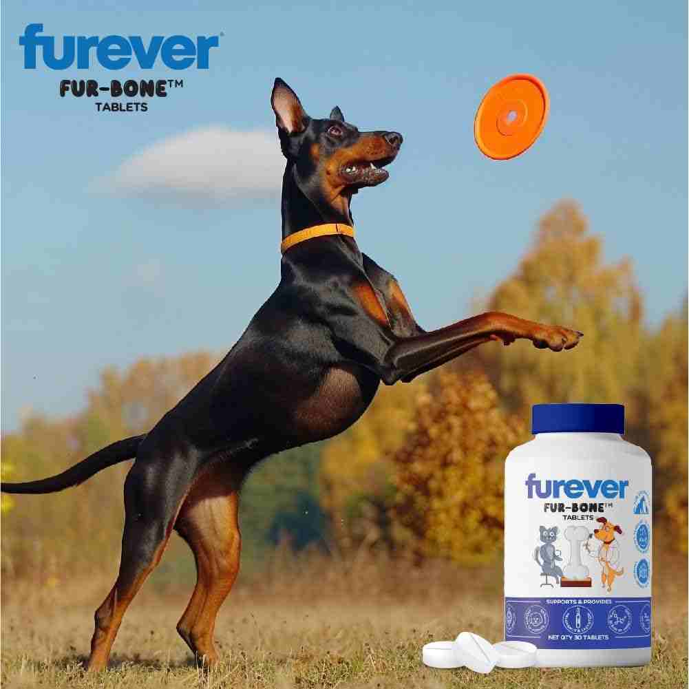 PAWSOME COMPANIONS Furever Fur-Bone 30 S – (Best Before Mar’26)