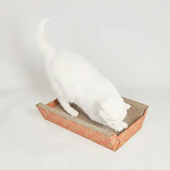 Barkbutler Fofos 2 In 1 Cat Scratche Lounge