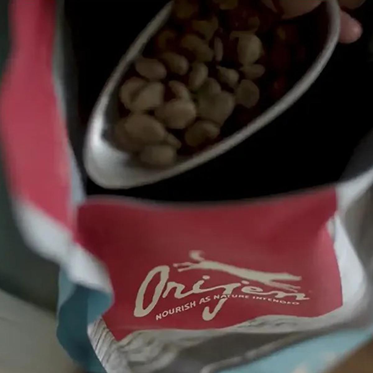 Orijen Senior Dry Dog Food