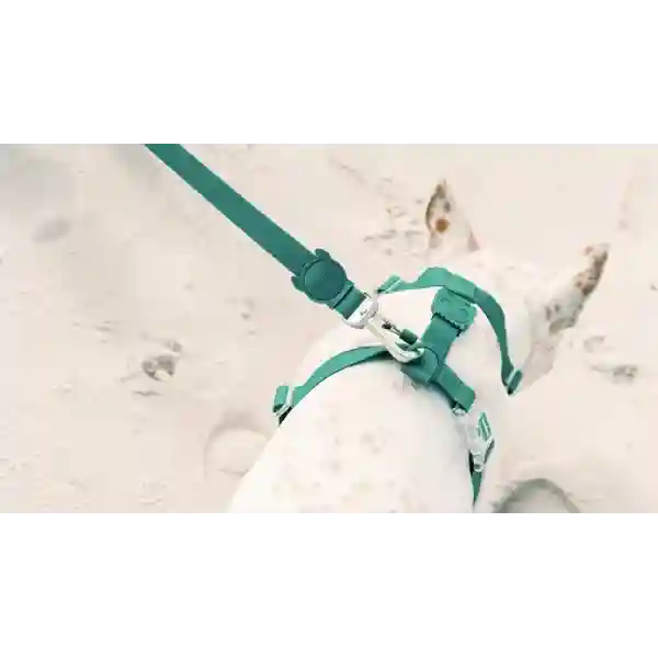 Zee Dog Neopro Amazonia Dog H-Harness