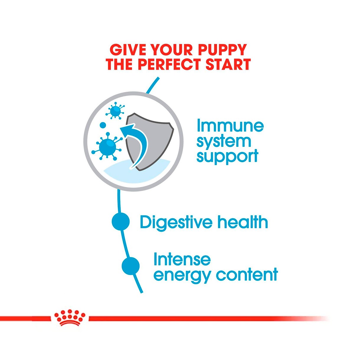 Royal Canin Mini Puppy Dry Dog Food