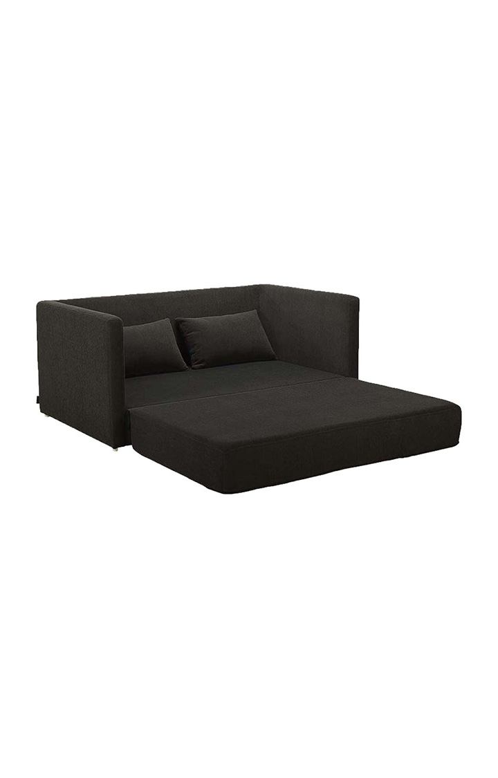 NEUDOT Max Fabric Pull-Out Sofa Cum Bed for Living Room | 2 Seater Sofa Bed for Drawing Room & Bedroom | Diwan | Chocolate Brown Color