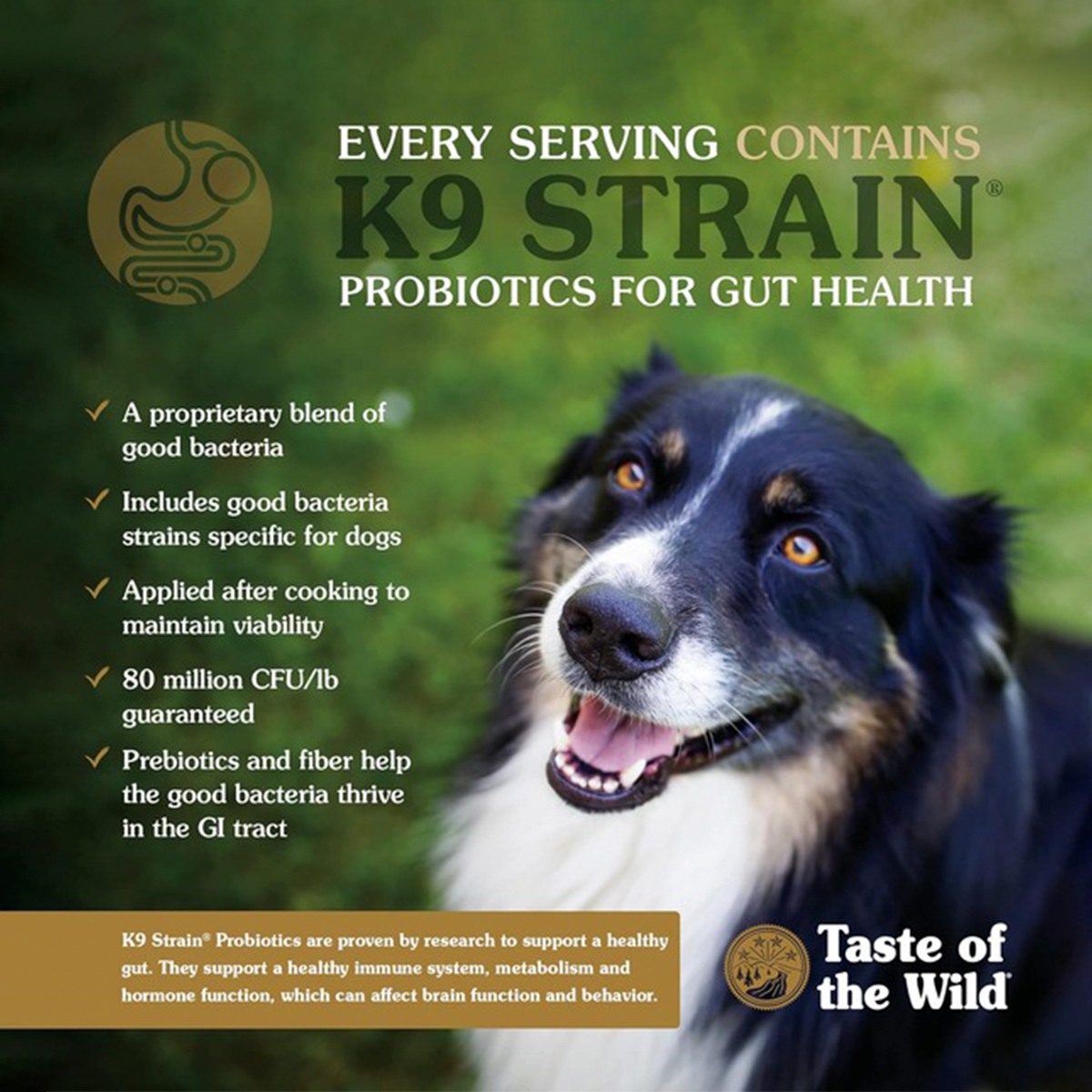 Taste Of Wild Pacific Stream Canine (Smoked Salmon) Dry Dog Food - 5.6 Kg