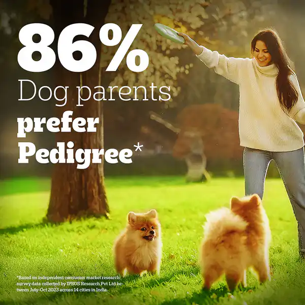 Pedigree PRO Expert Nutrition Small Breed Puppy (2 to 9 Months) Dry Food 1.2kg