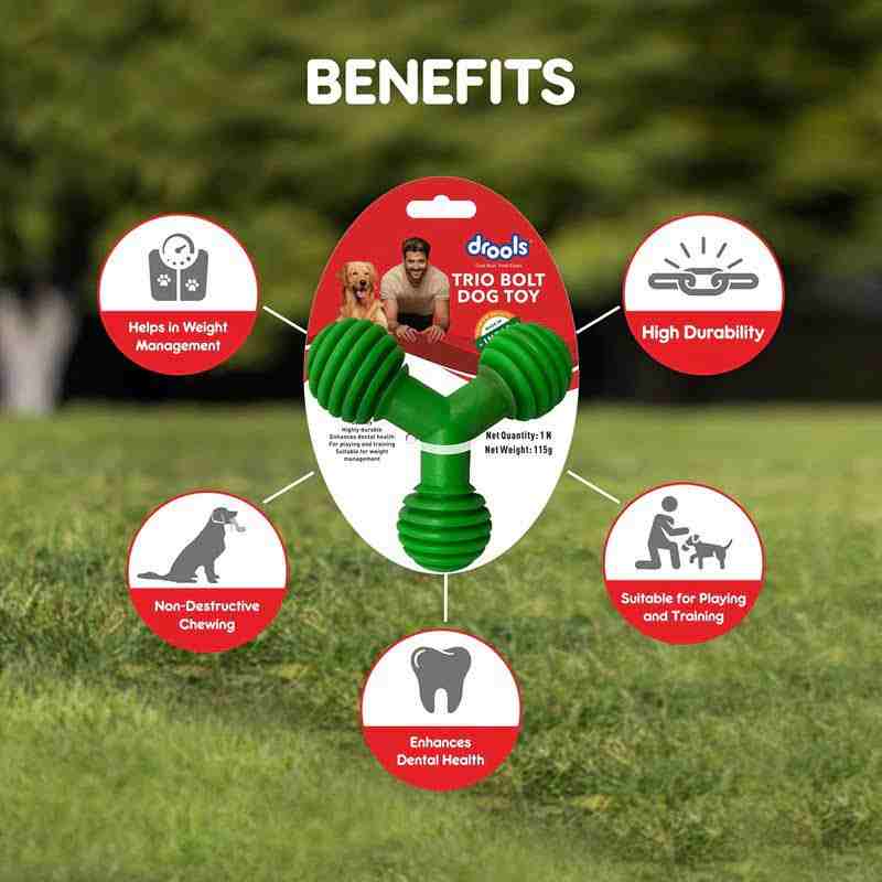 Drools Trio Bolt Dog Toy