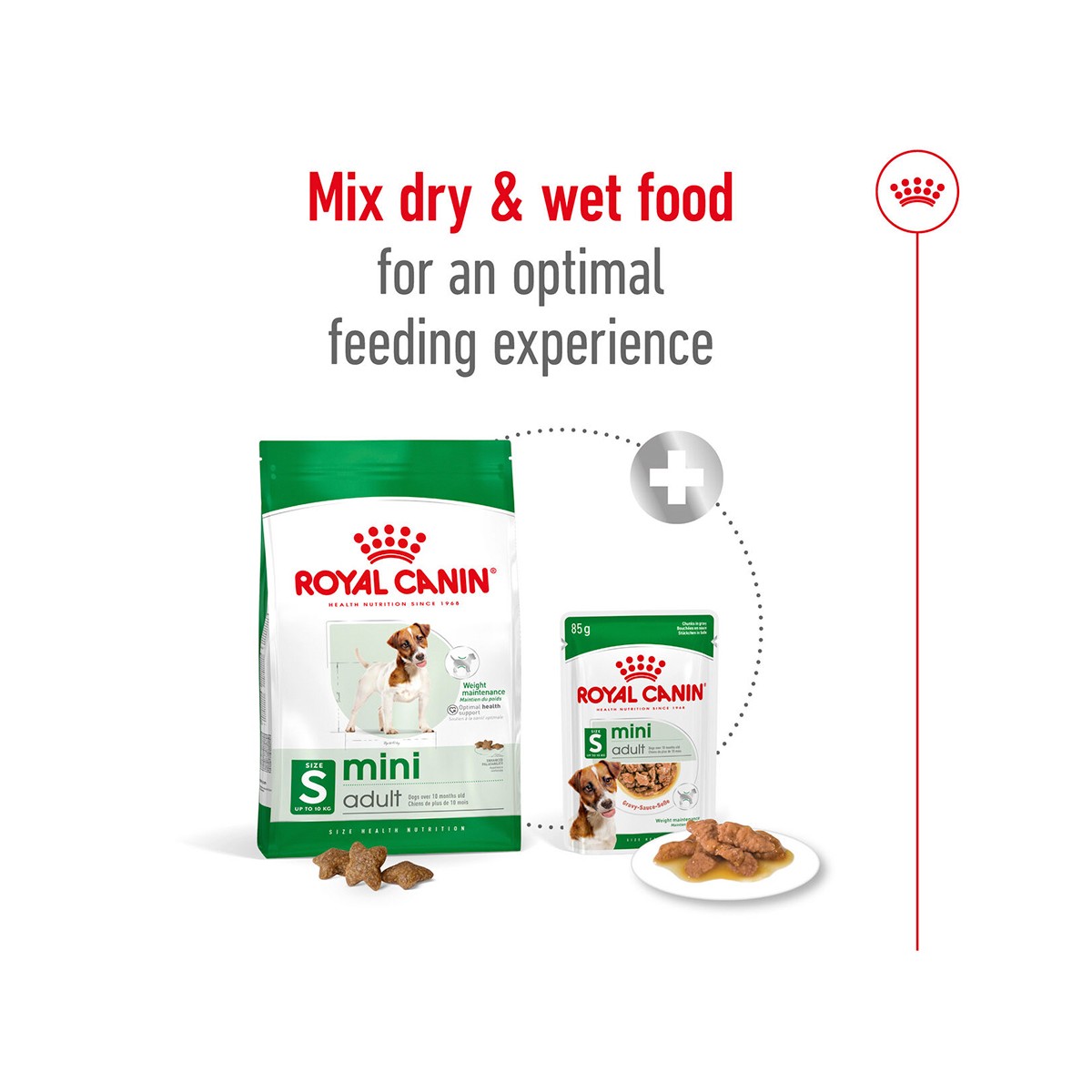 Royal Canin Mini Adult Dry Dog Food
