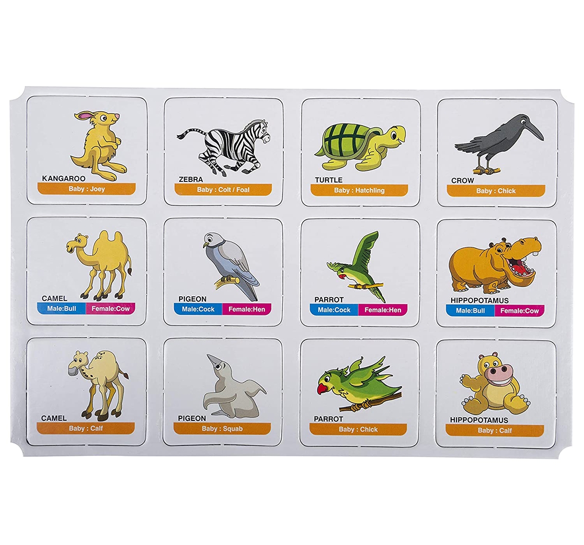 Funskool | Funskool Memory Animal Family for Board Game Kids age 12M+ 4