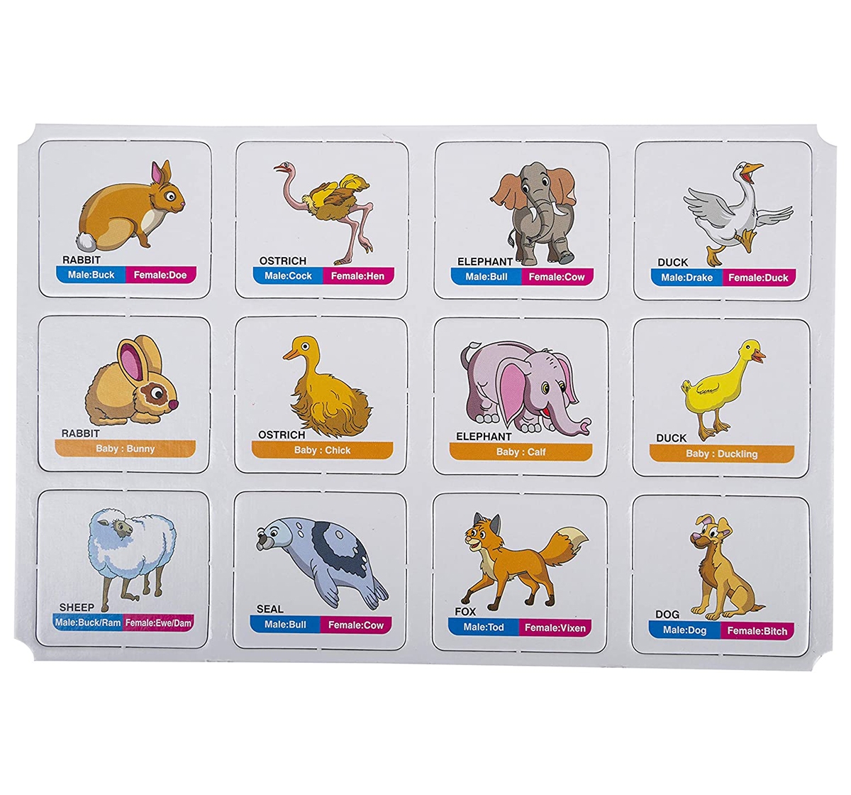 Funskool | Funskool Memory Animal Family for Board Game Kids age 12M+ 6