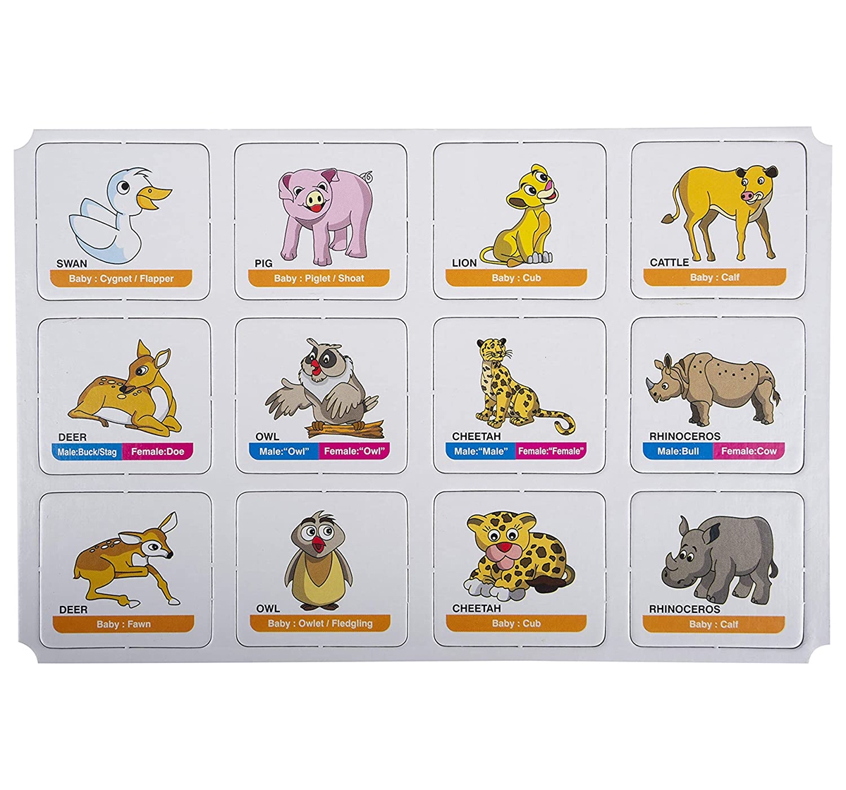 Funskool | Funskool Memory Animal Family for Board Game Kids age 12M+ 3