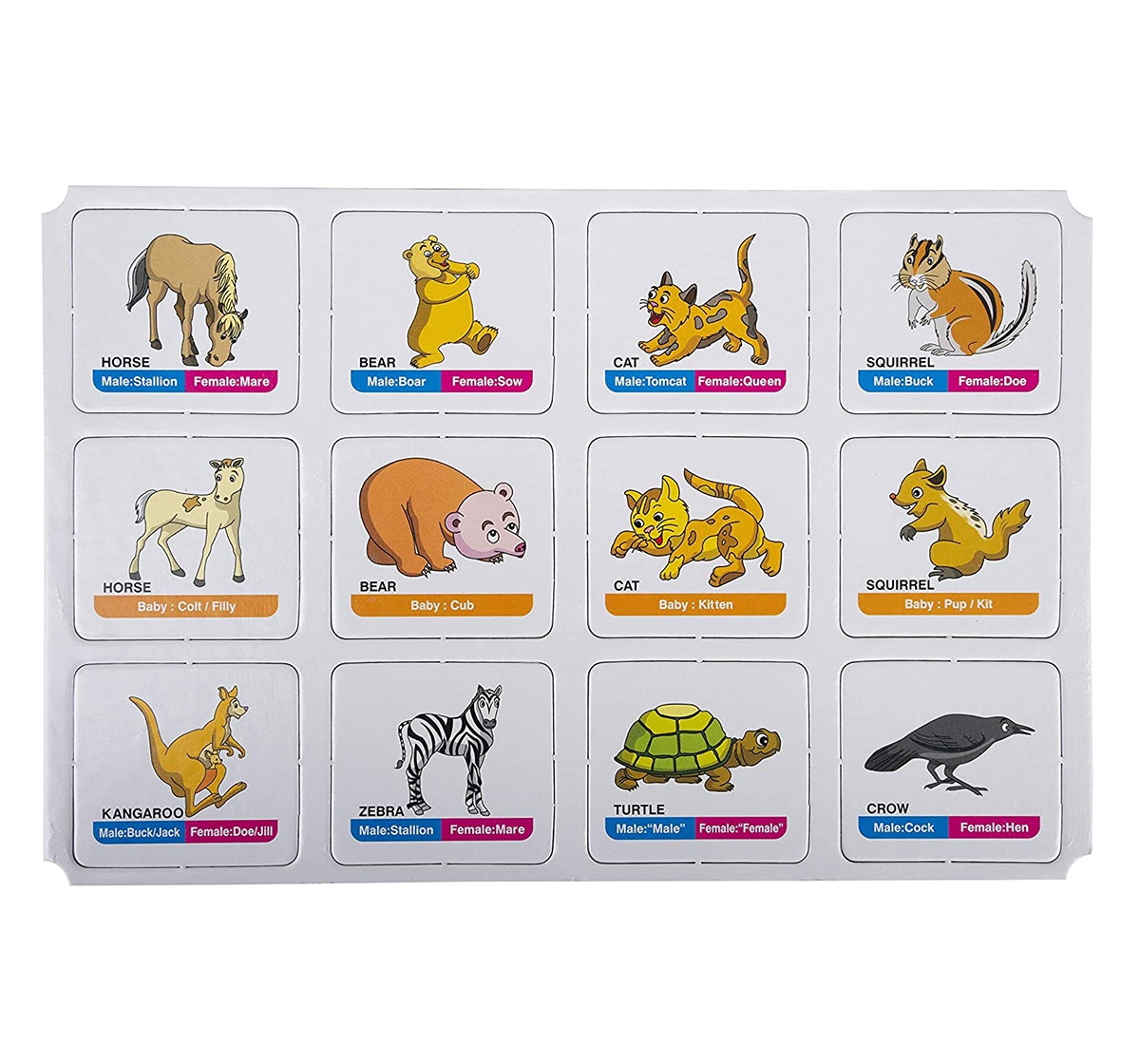 Funskool | Funskool Memory Animal Family for Board Game Kids age 12M+ 5
