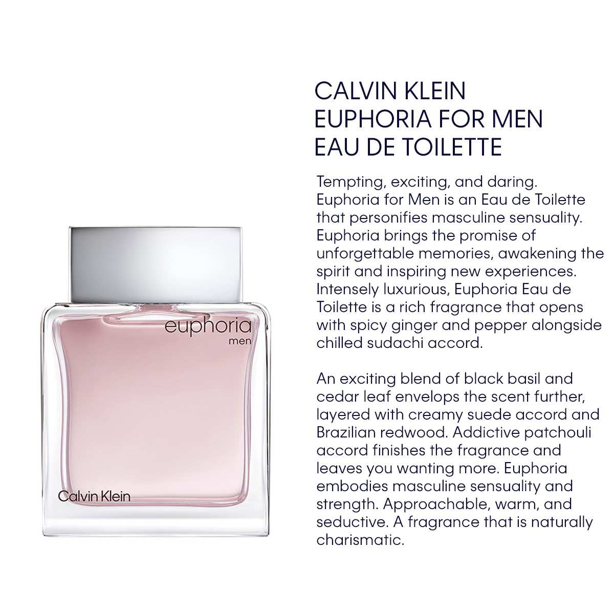 Euphoria Eau De Toilette • 50ml