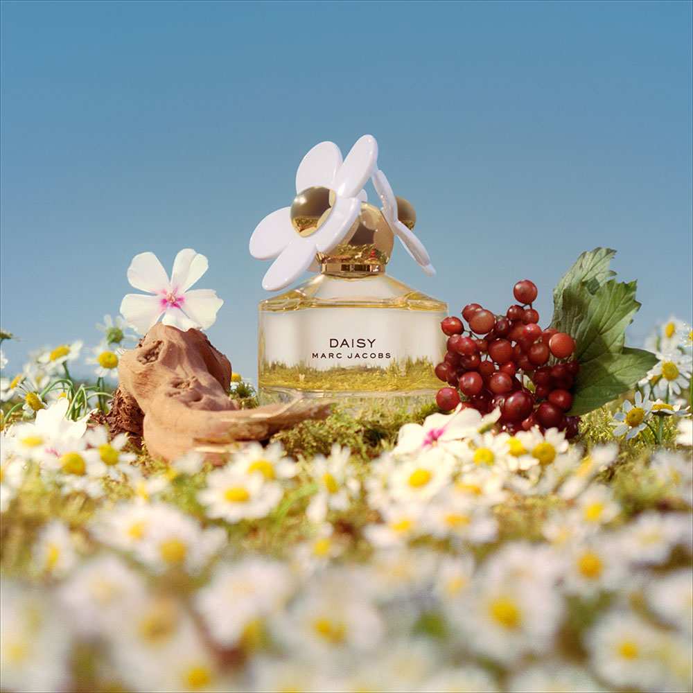 Daisy Eau De Toilette • 50ml