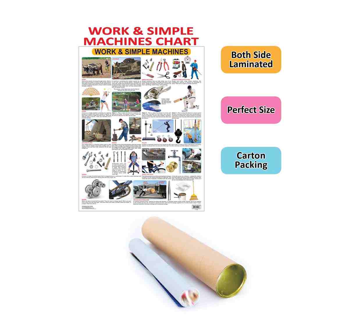 https://cdn.fynd.com/v2/falling-surf-7c8bb8/fyprod/wrkr/products/pictures/item/free/original/000000000490593500/TZ2ax303vA_-490593500-2.jpg