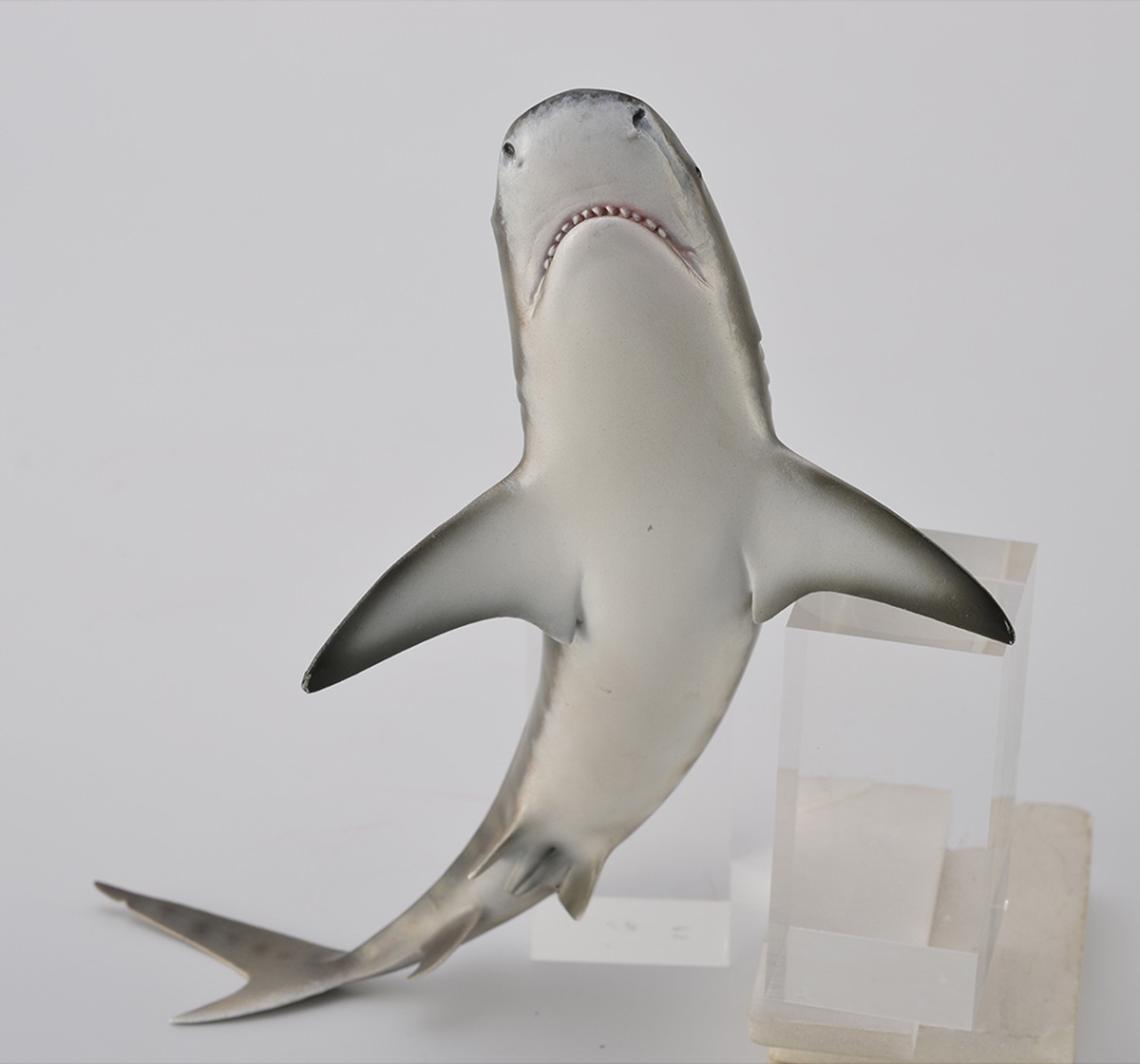 Collecta -Tiger Shark animal figure, 3Y+