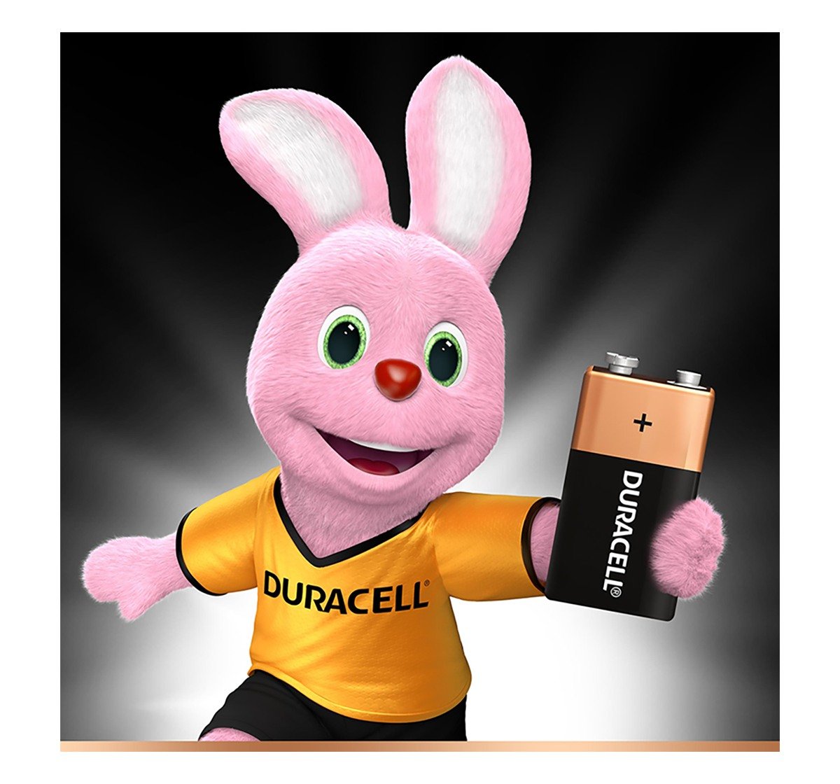 Duracell 9V Alkaline Batteries-Pack of 2 Essentials for Kids age 3Y+