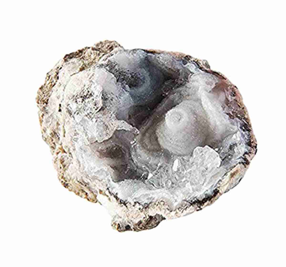 https://cdn.fynd.com/v2/falling-surf-7c8bb8/fyprod/wrkr/products/pictures/item/free/original/000000000491333838/7xy2PRbQOG_-491333838-2.jpg
