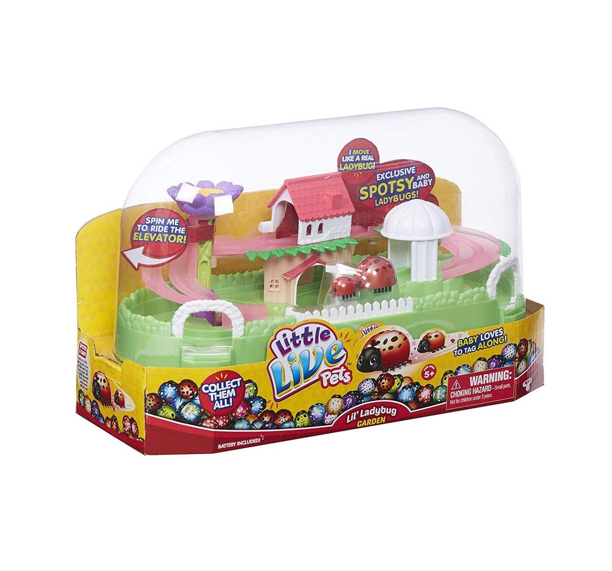 Ladybug sales live pets