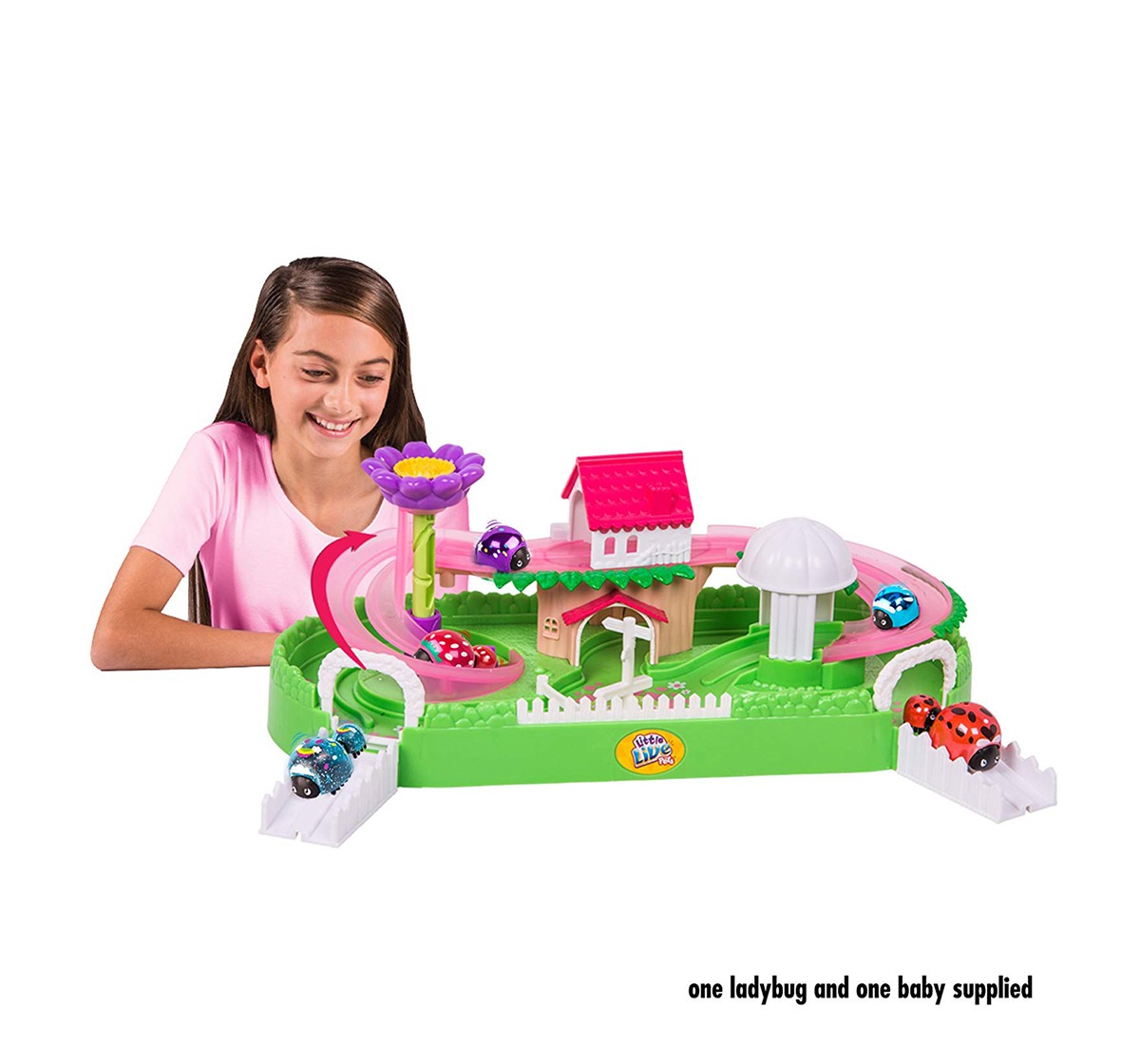 Little live hotsell pets ladybug