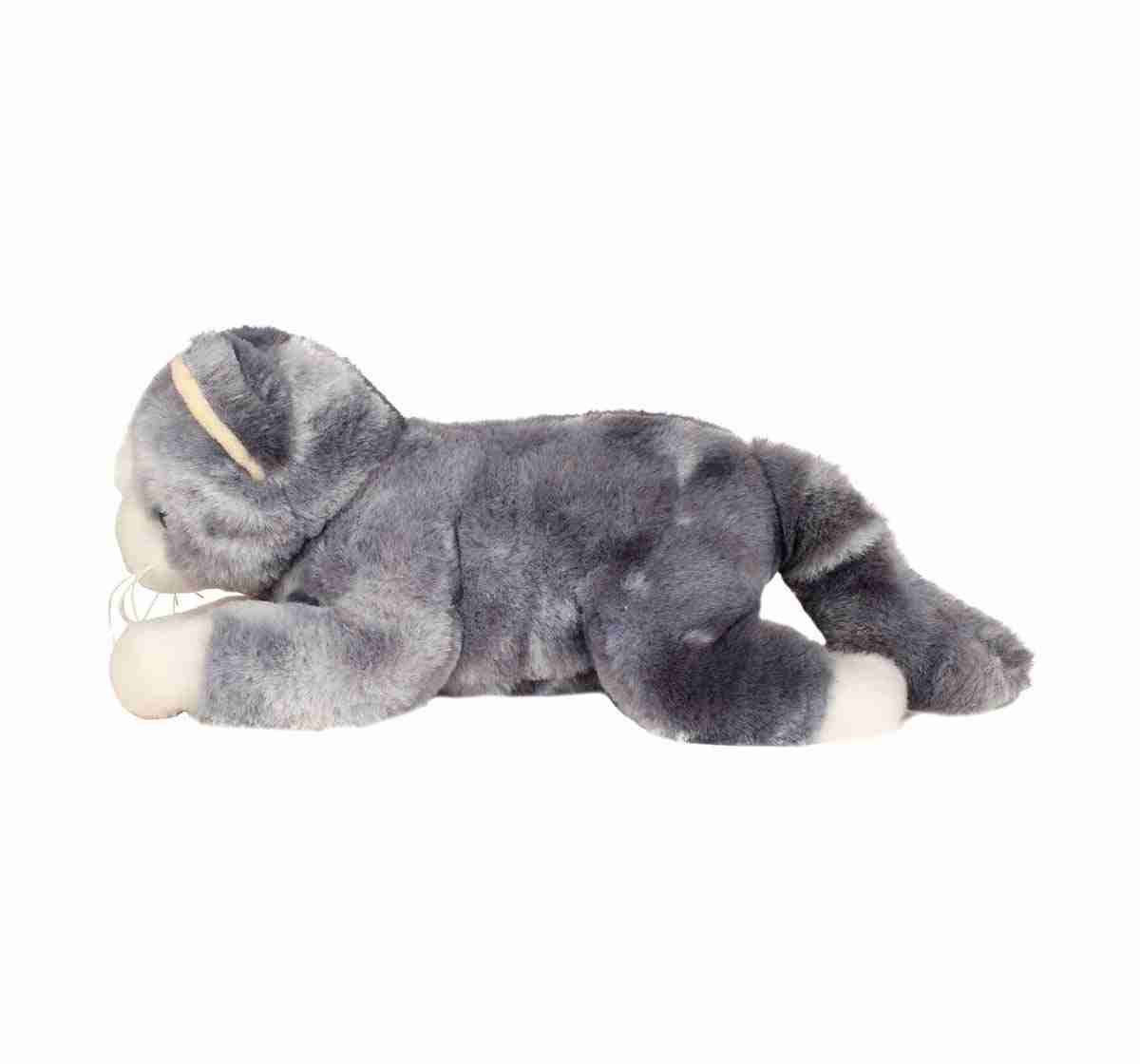 Cuddles Sleeping Cat, Animals & Birds for Kids age 0M+ 15 Cm